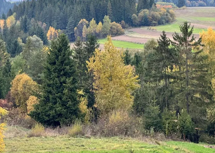 Pri Tichom Lese * Rabca